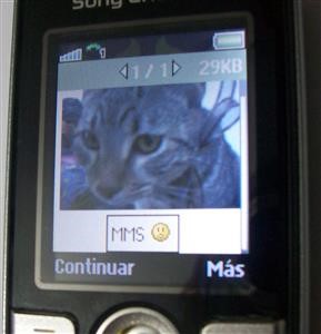 Spy Phone Software Remote Installation